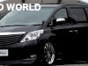 bold-